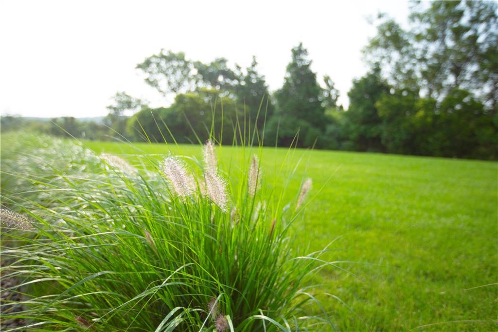 1062 Dunn Town Road Property Photo 13