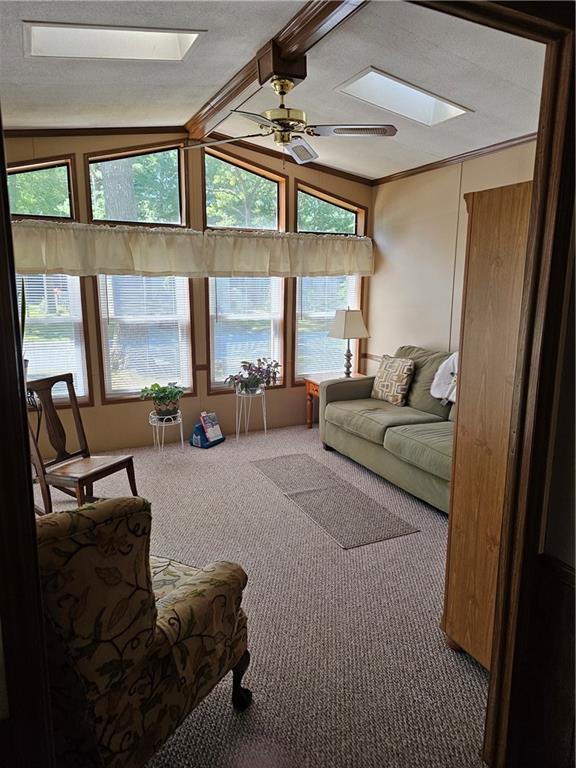 7 Idlewild Court Property Photo 11