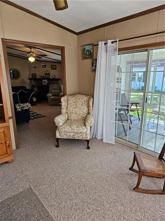 7 Idlewild Court Property Photo 12