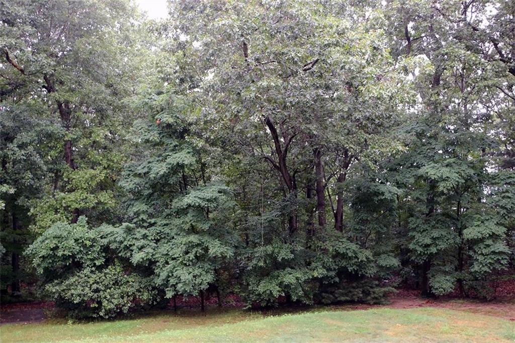 52 Charcalee Drive Property Photo 5