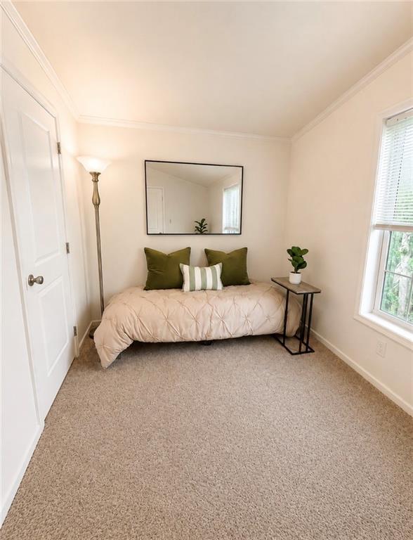 38 Diamond Road Property Photo 19