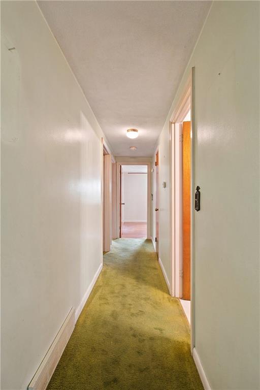63 Bourbon Street Property Photo 18