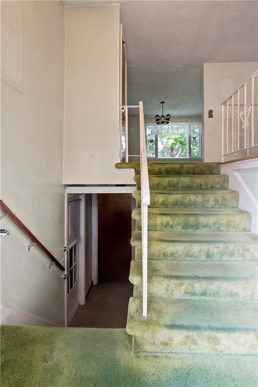 63 Bourbon Street Property Photo 25