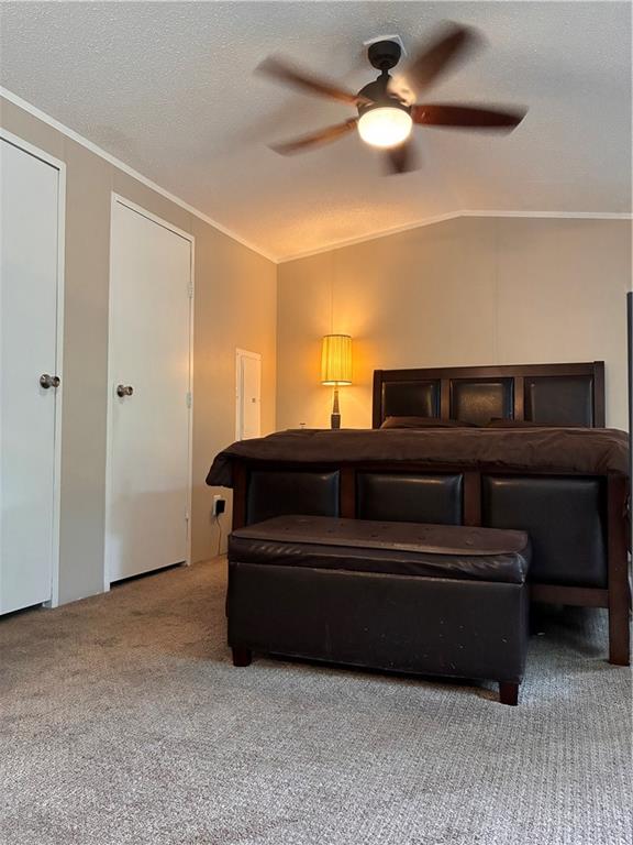 245 Manton Street Property Photo 20