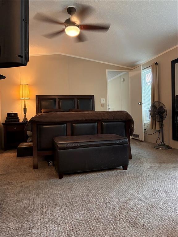 245 Manton Street Property Photo 21