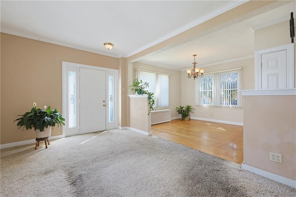 43 Crothers Avenue Property Photo 4