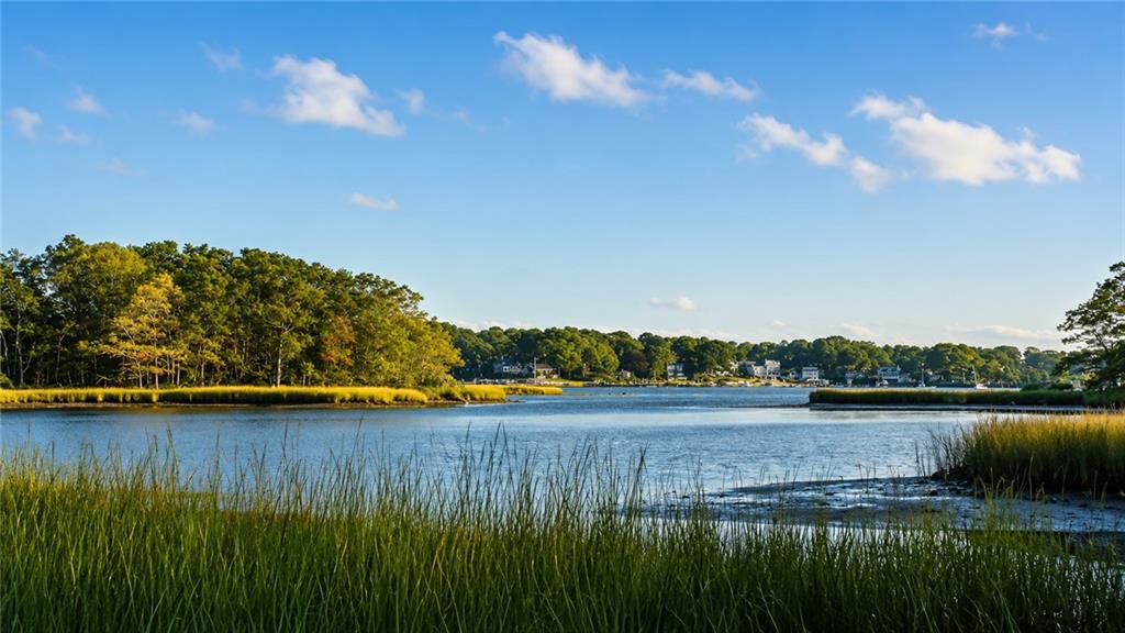 216 Spartina Cove Way Property Photo 50