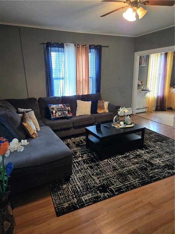 3 Barrett Street Property Photo 5