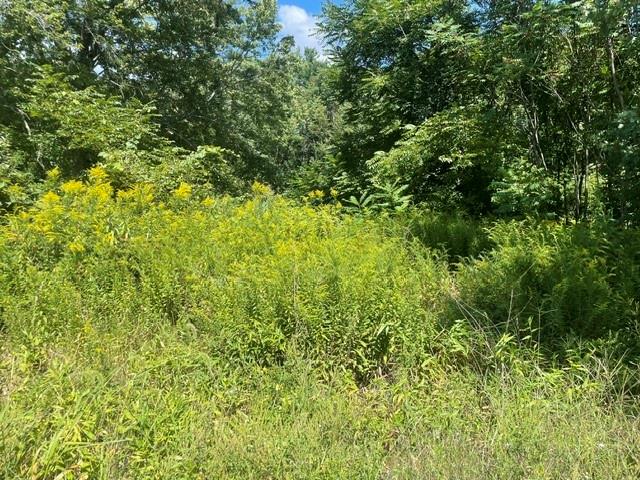 0 Wallum Lake Road Property Photo 2