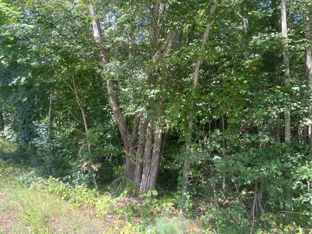 0 Wallum Lake Road Property Photo 3
