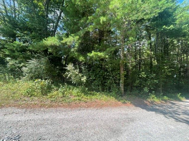 0 Wallum Lake Road Property Photo 4