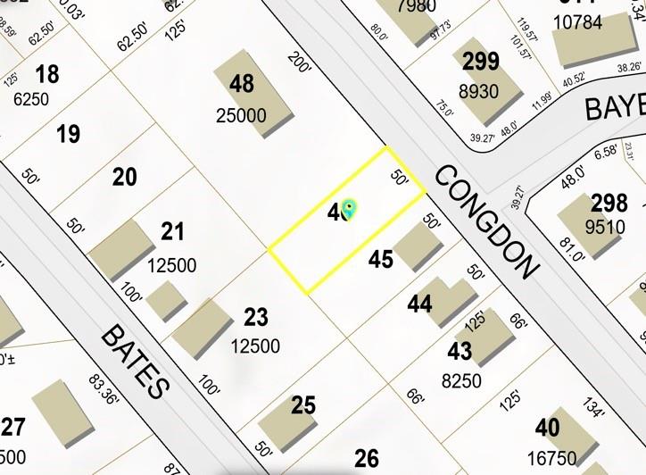 29 Congdon Avenue Property Photo 19