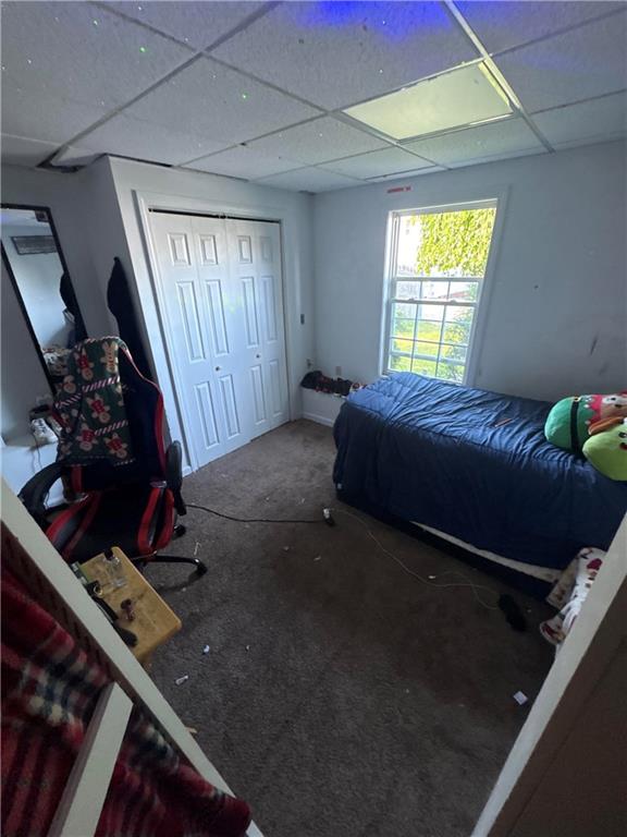 71 Clemence Street Property Photo 10