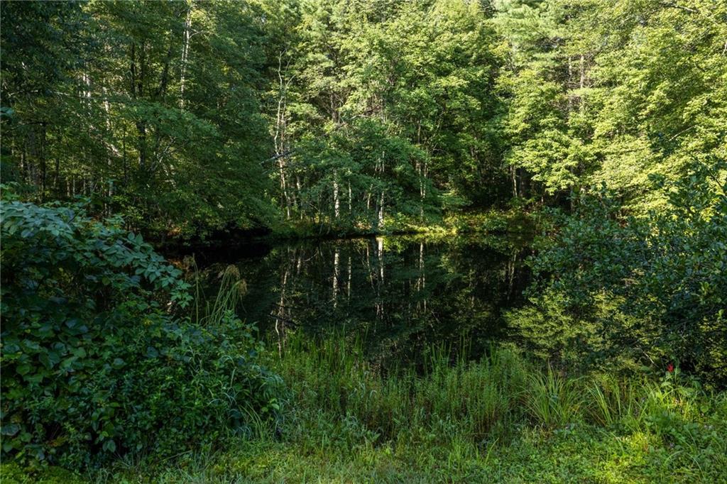 941 Carrs Pond Road Property Photo 17