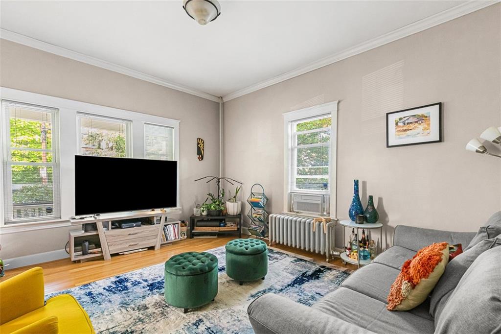 229 Morris Avenue Property Photo 40
