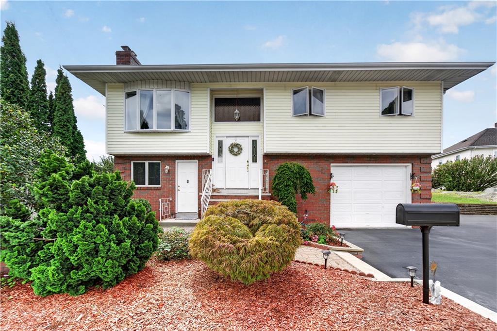 4 Evans Street Property Photo 1