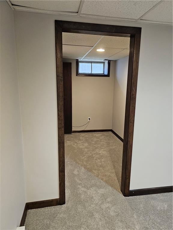12 Navarre Street Property Photo 16