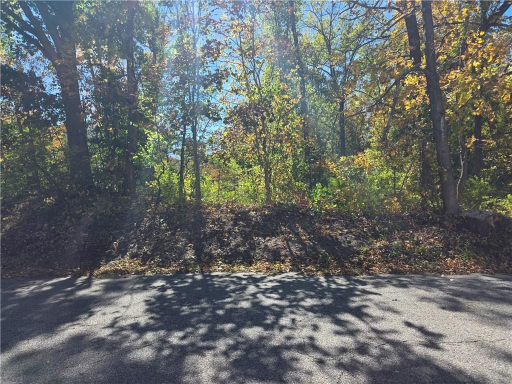 310 Mountaindale Road Property Photo 2