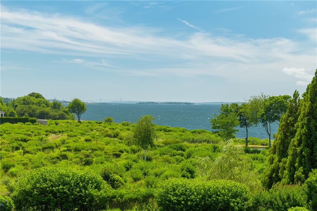 231 Carnegie Harbor Drive Property Photo 27