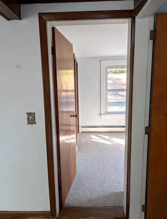 46 Errol Street Property Photo 21