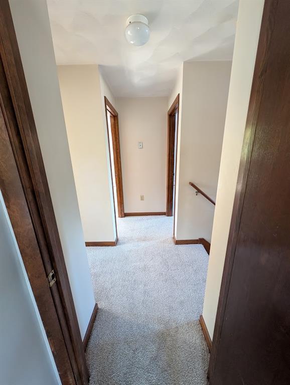 46 Errol Street Property Photo 26