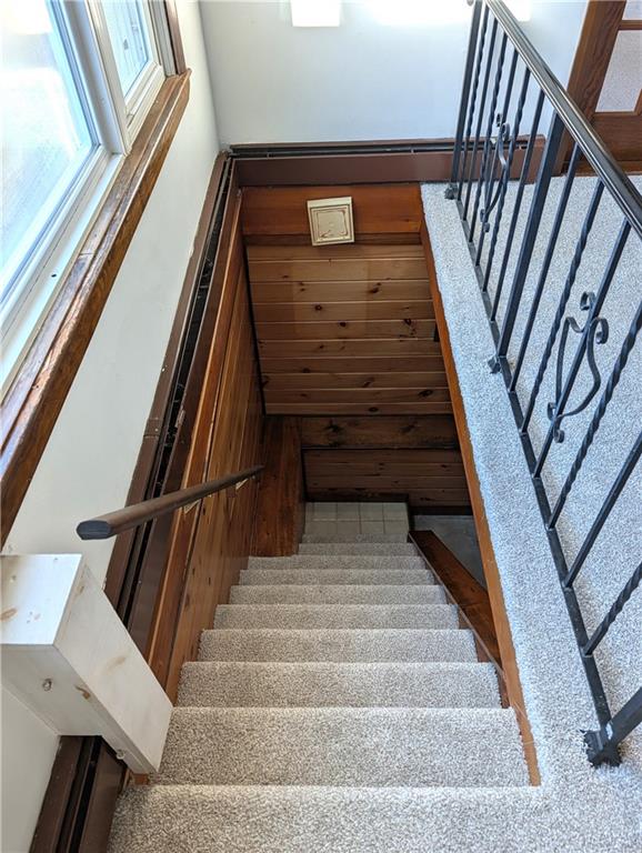 46 Errol Street Property Photo 42