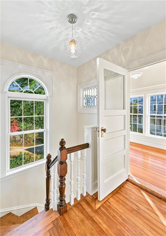 20 Nisbet Street Property Photo 22