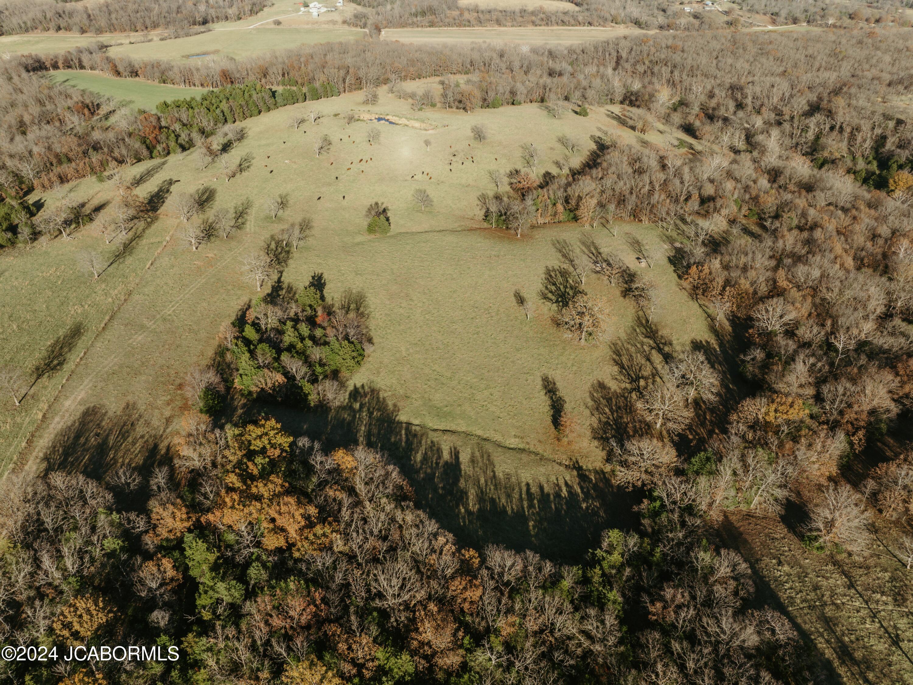 36057 Maries Rd 203 Property Photo 43