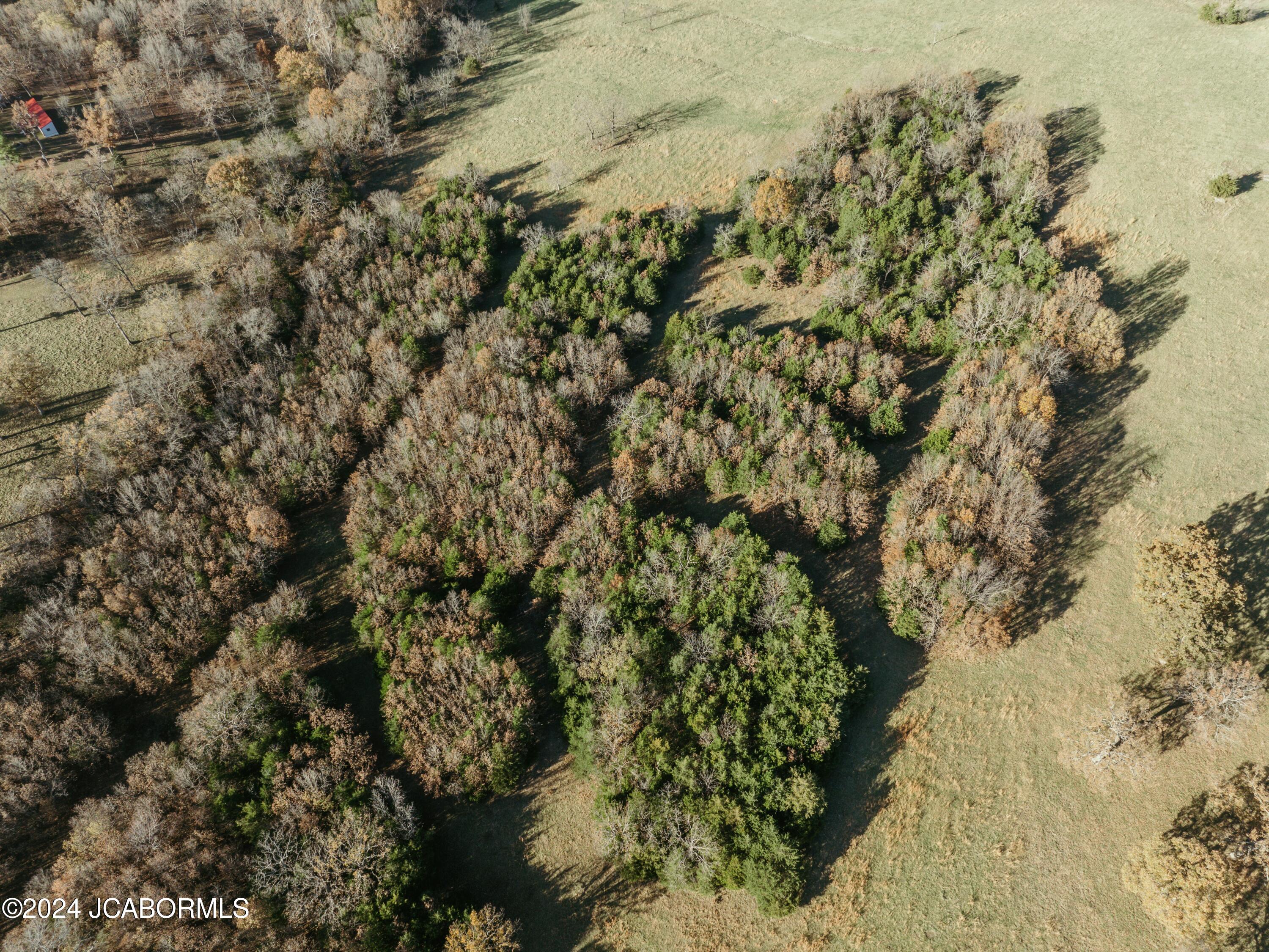 36057 Maries Rd 203 Property Photo 48