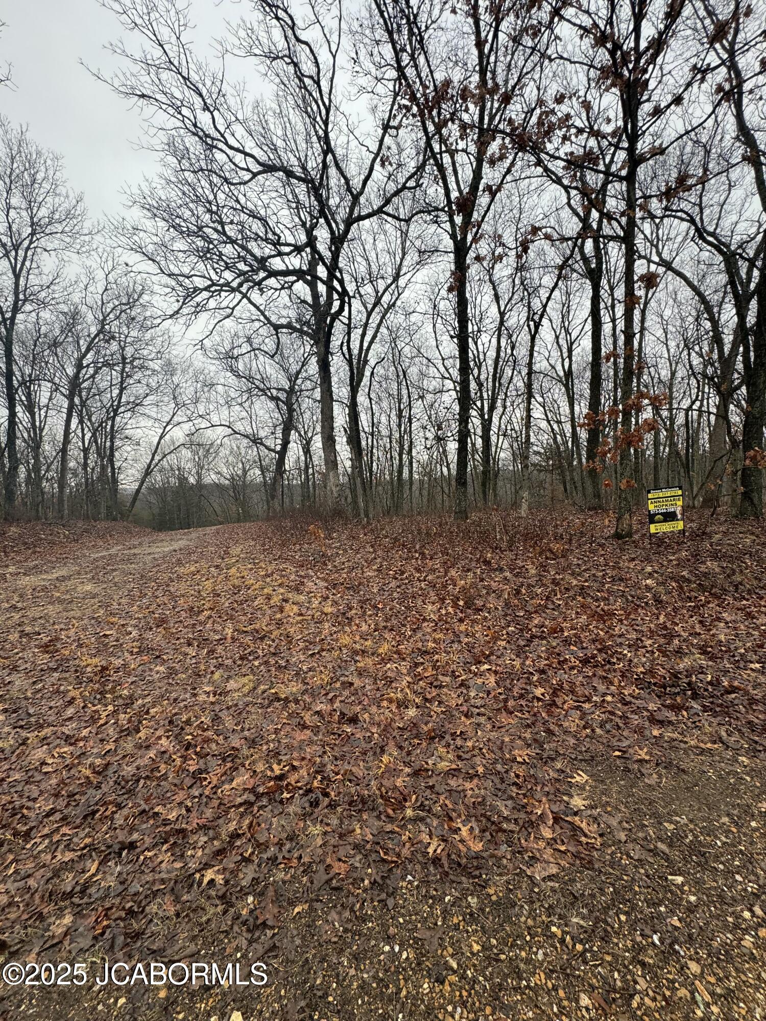 Tbd Off Muddle Place Property Photo 1