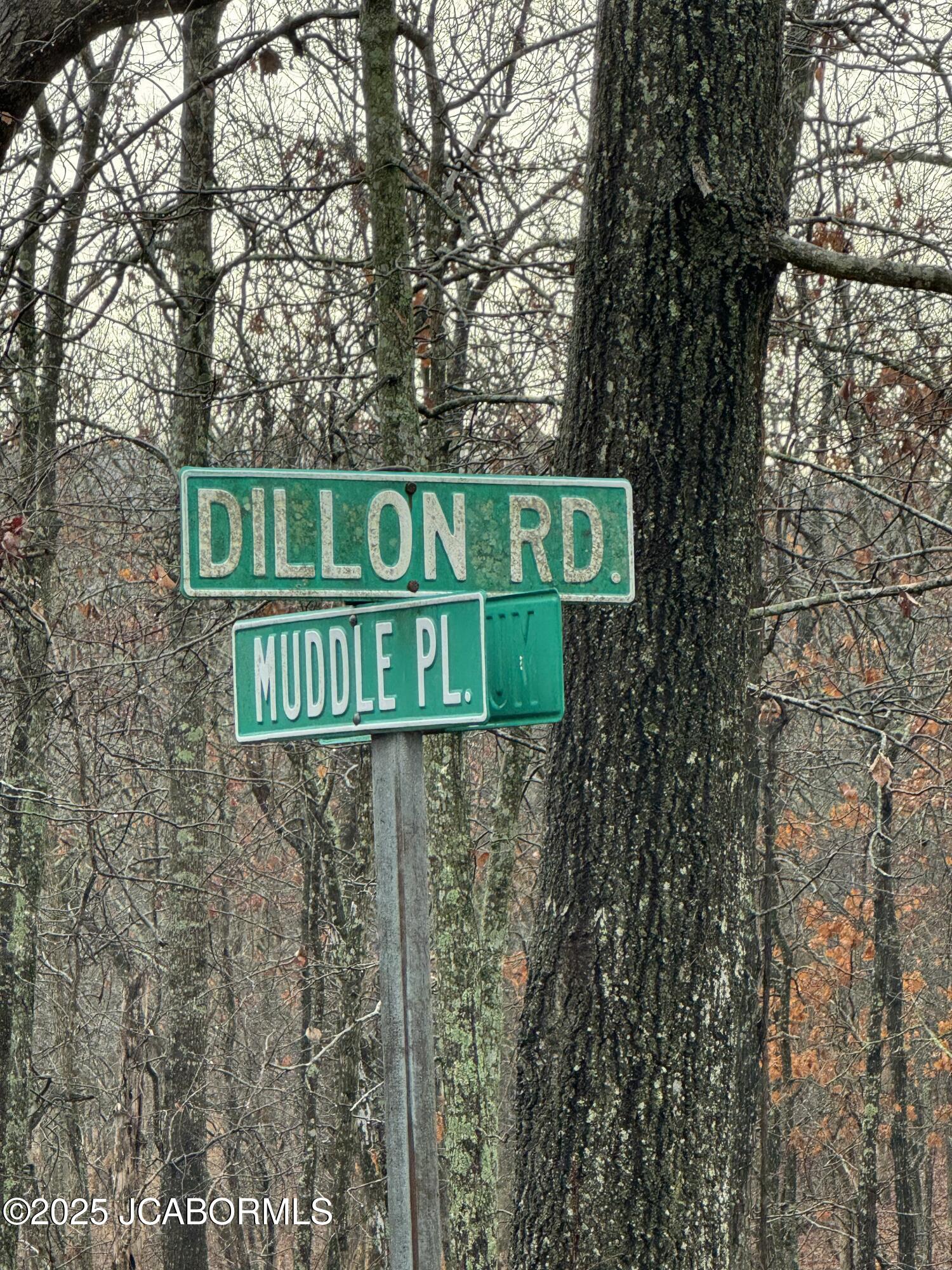 Tbd Off Muddle Place Property Photo 3
