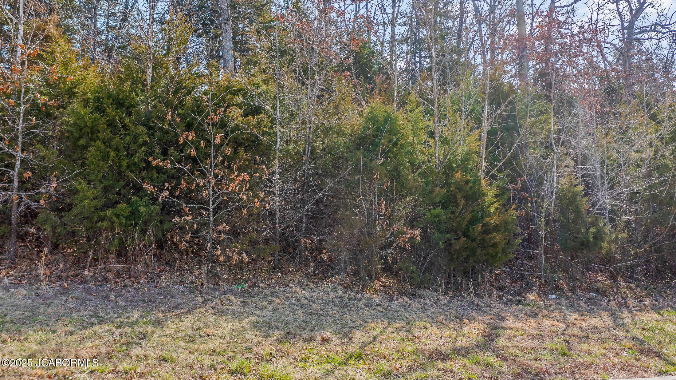 1617 Notting Hill Drive Property Photo 10