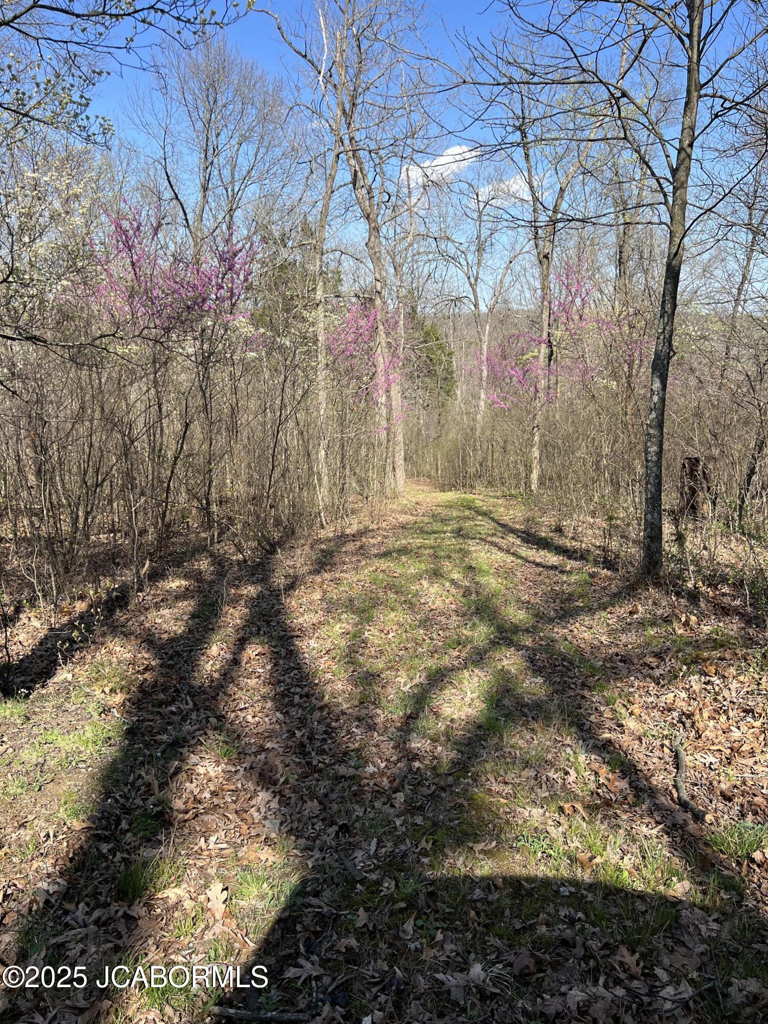 13140 County Rd 4037 Property Photo 22