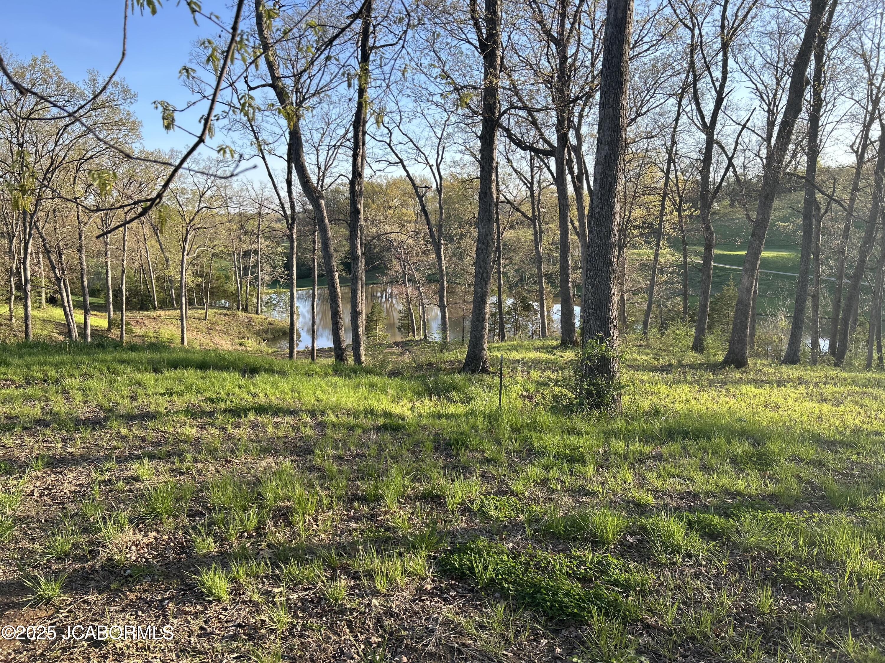Lot 6 Birdie Hill Road Property Photo 1