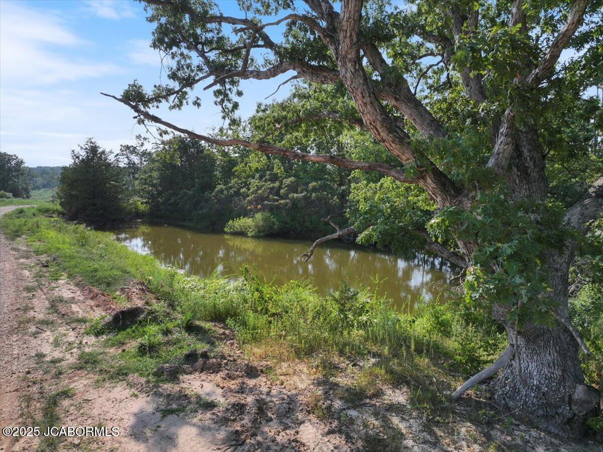 Tbd Old Tuscumbia Road Property Photo 2