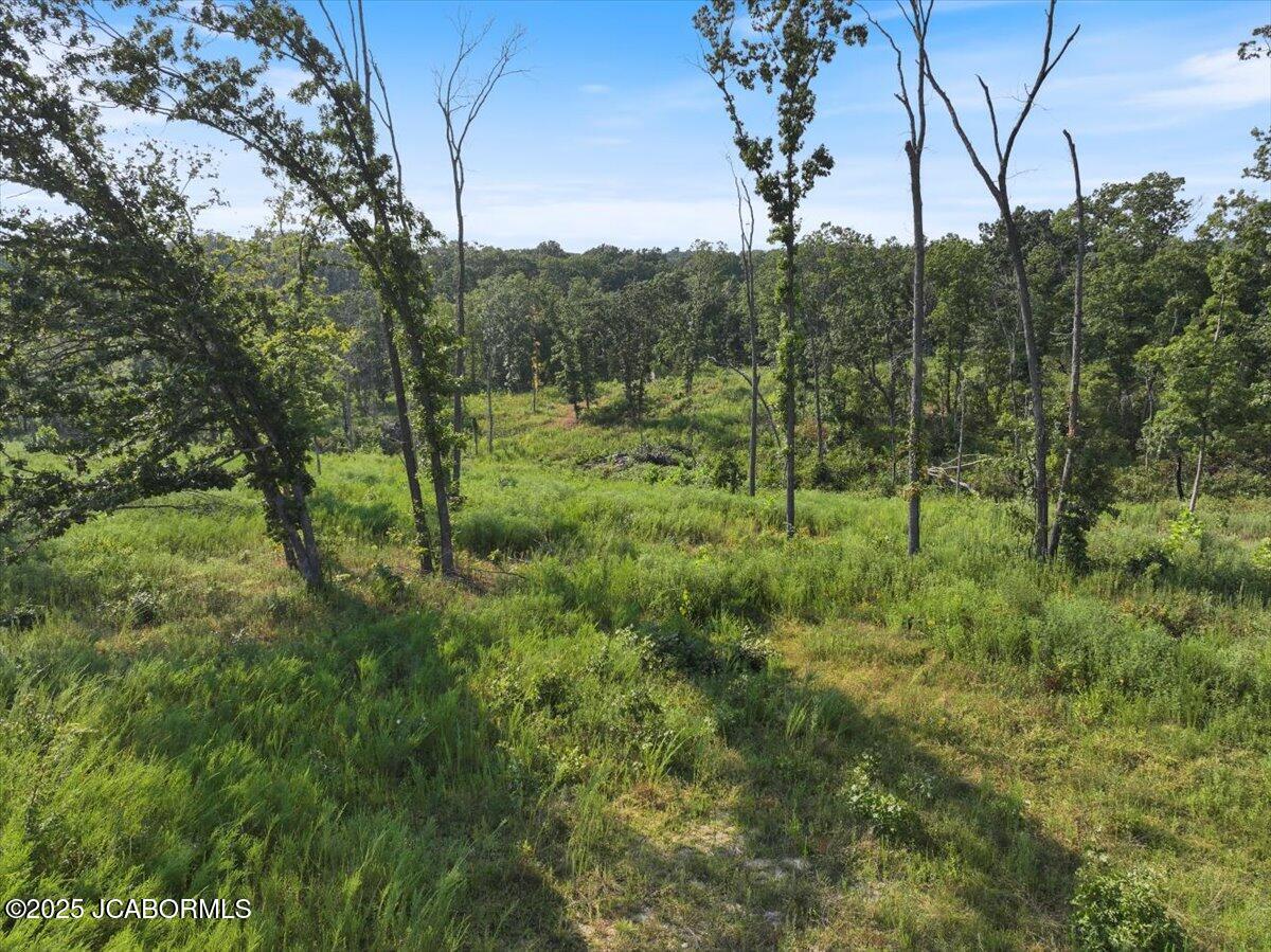 Tbd Old Tuscumbia Road Property Photo 3