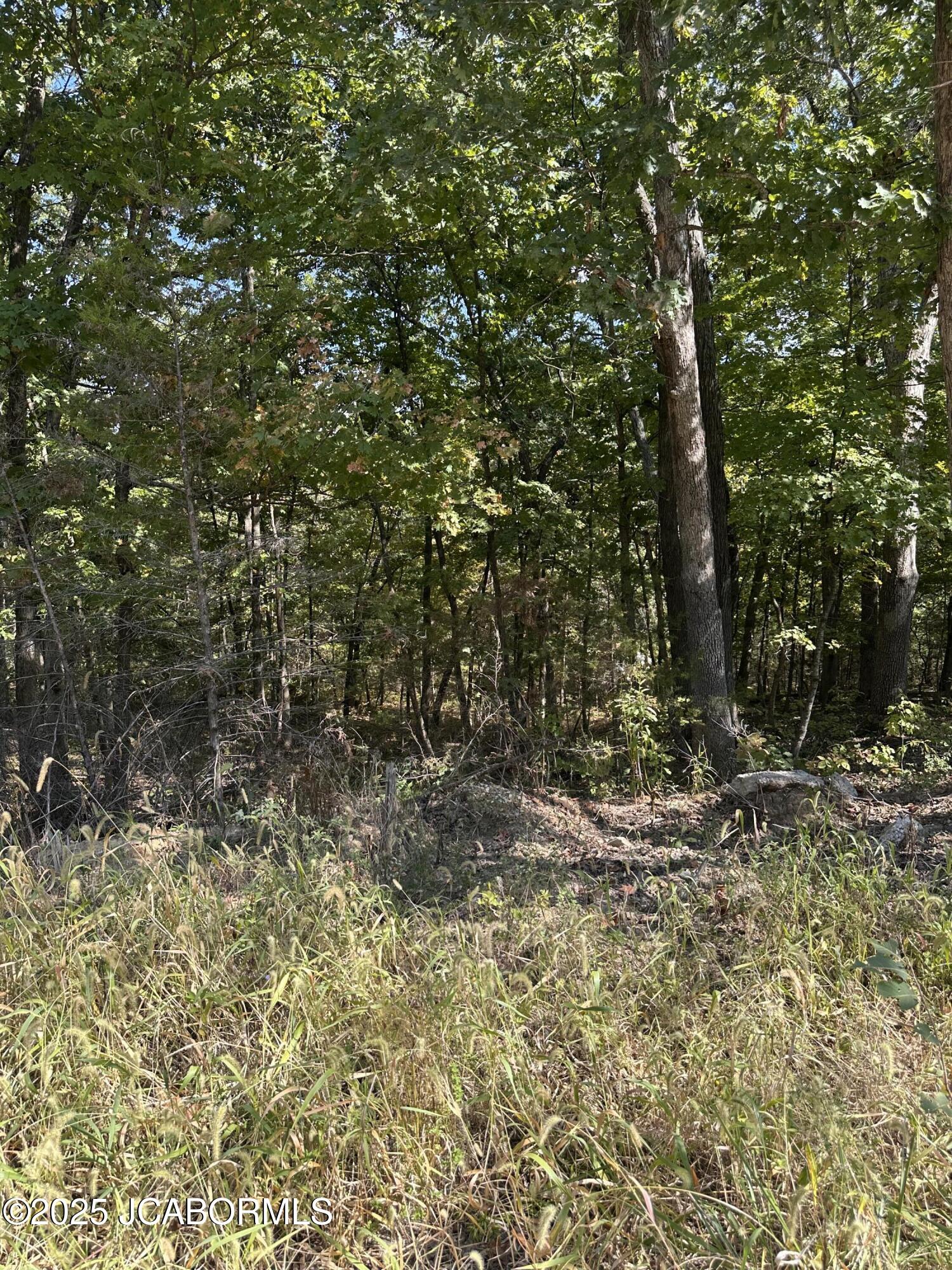 Lot 29 Sterling Ridge Property Photo 1