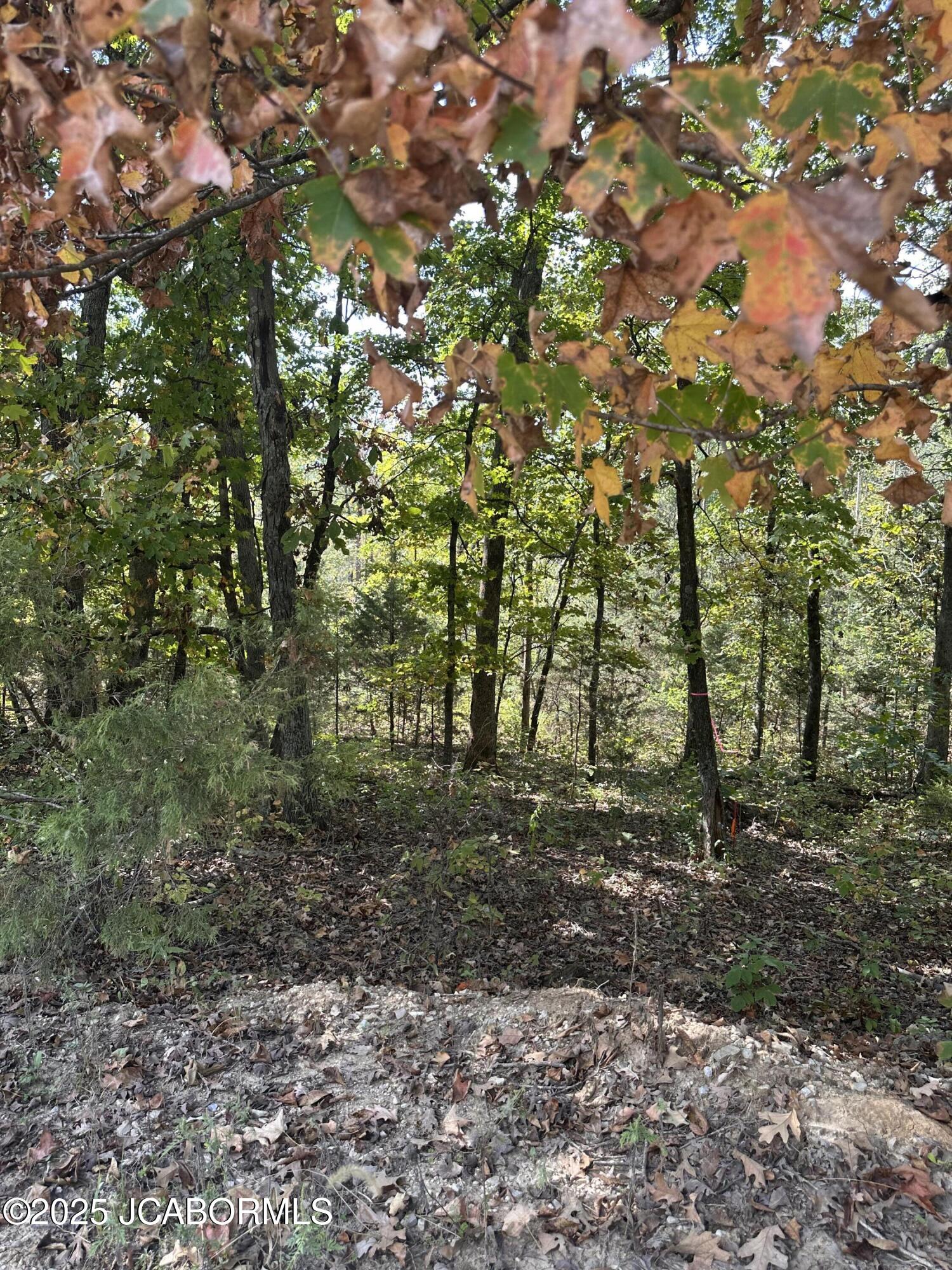 LOT 36 STERLING RIDGE Property Photo 1