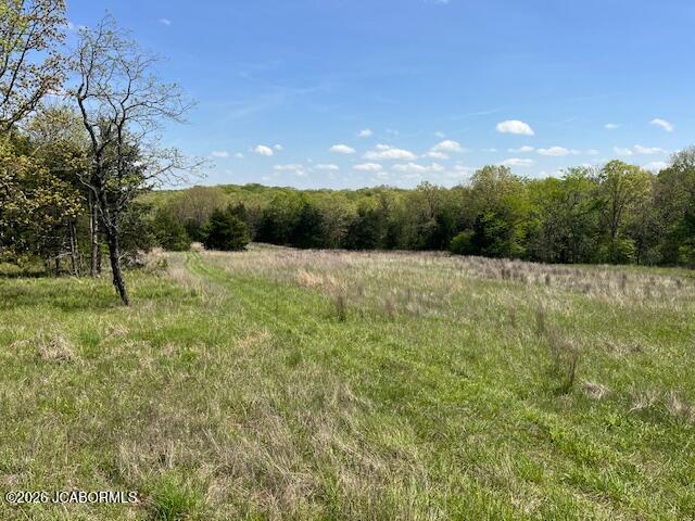 111 Hwy Bb Property Photo 2