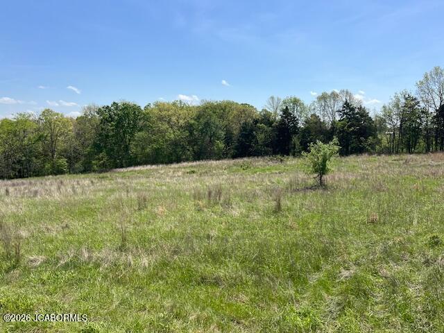 111 Hwy Bb Property Photo 5