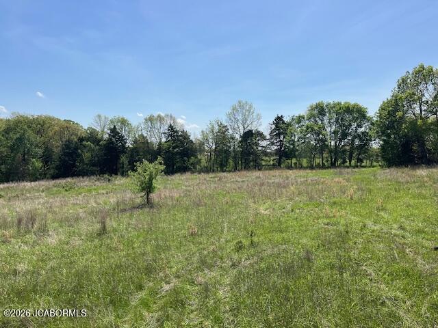 111 Hwy Bb Property Photo 6