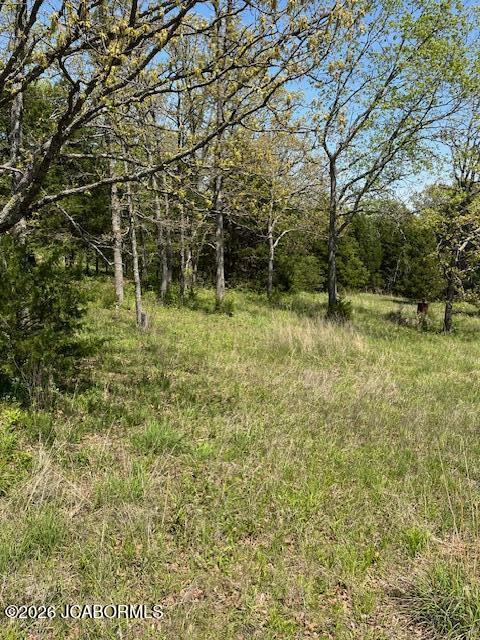 111 Hwy Bb Property Photo 7