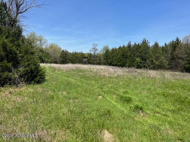 111 Hwy Bb Property Photo 9