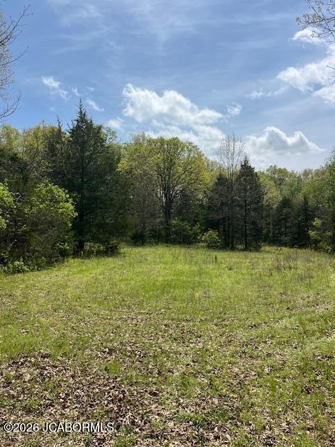 111 Hwy Bb Property Photo 25