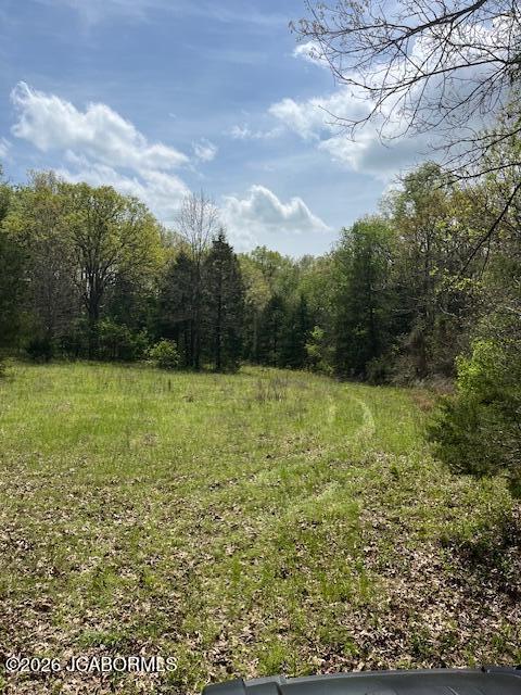111 Hwy Bb Property Photo 26