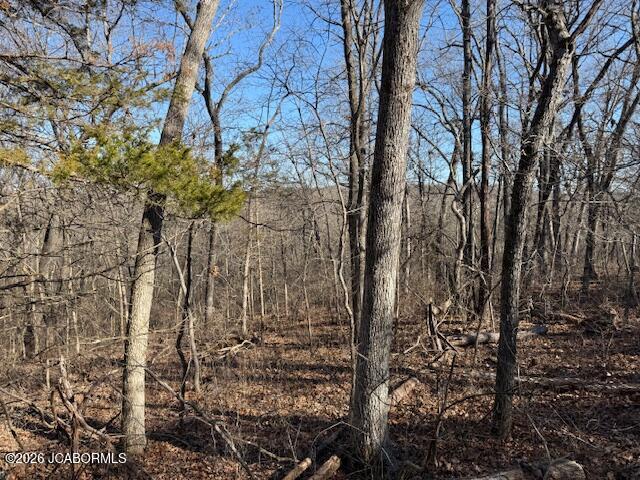 111 Hwy Bb Property Photo 27