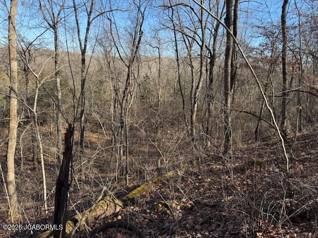 111 Hwy Bb Property Photo 28