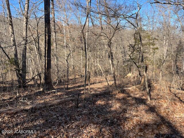 111 Hwy Bb Property Photo 35