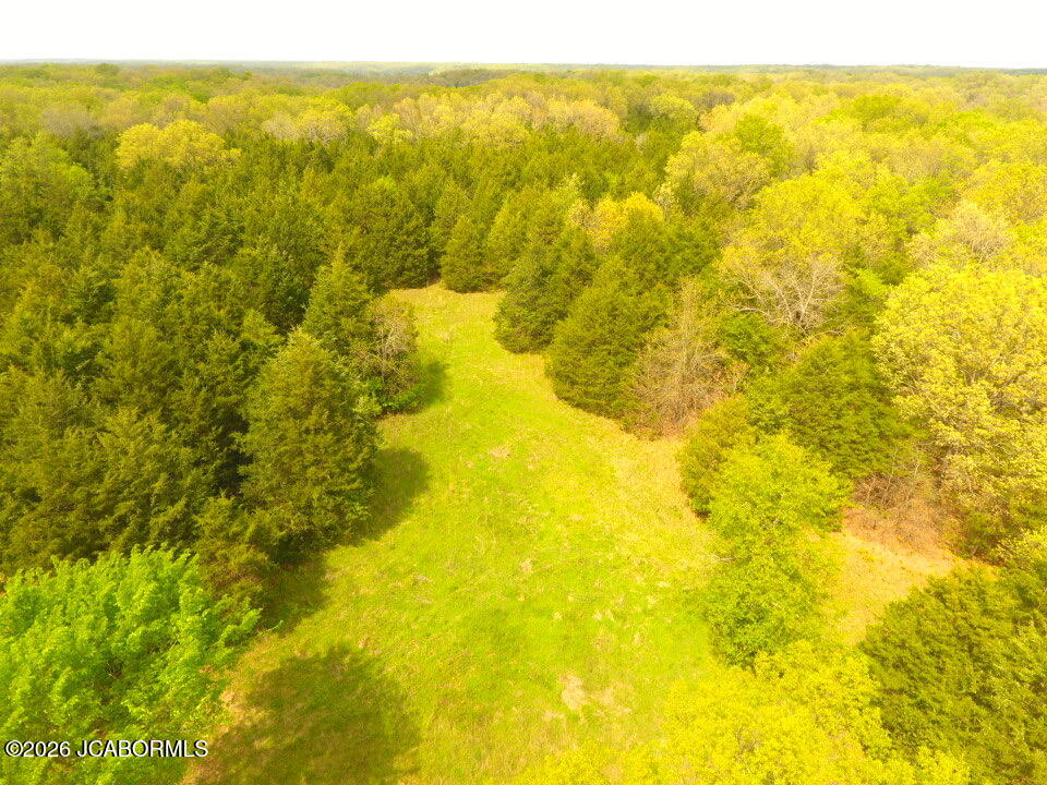 111 Hwy Bb Property Photo 84