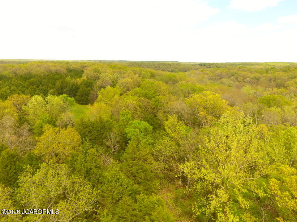 111 Hwy Bb Property Photo 85